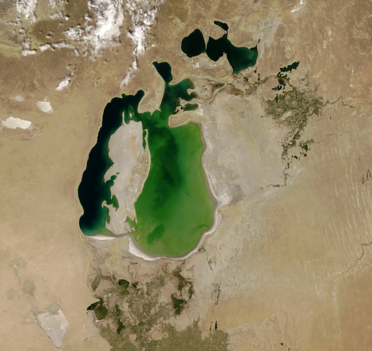 ccb_boulder's tweet photo. #CCB @MickeyGlantz is presenting at the #UN United Nations today about the Aral Sea drying up and the need for #Sustainability for the #future of the region. #WaterAction #Uzbekistan #UNWaterConference https://t.co/9Uv5QL0RHV