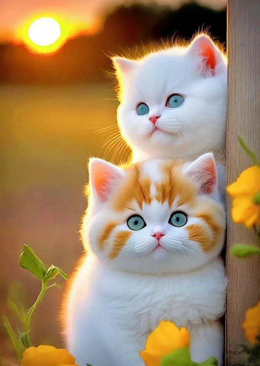 💎。＼｜／。💎
#FF #AKTAKİP 
Size Çok Kıymeti 
7 Hesap bırakıyorum 
Takibe değer Bu Mecrasının En Nezih İnsanları
Kesin Dönüş Yaparlar
🇹🇷👉 <a href="/KAFKAS_60/">TOKAT YILDIZI 💫RT💫HESABIM👈</a>  👈🇹🇷
🇹🇷👉 <a href="/AydaAsena6034/">YILDIZ'LARA RÜTBE SORULMAZ🤘🇹🇷🤘🇦🇿🤘🐺🤘🐺</a> 👈🇹🇷
🇹🇷👉<a href="/AbhazSrlmz/">Srlmz Çerkes</a>👈🇹🇷
🇹🇷👉 <a href="/AbhazSrlmz/">Srlmz Çerkes</a> 👈
🇹🇷👉<a href="/gupse2023/">🚀 POLİN 〽️</a>  👈🇹🇷
🇹🇷👉<a href="/MSC21_/">𝕬𝖑𝖑𝖆𝖍'ı𝖓 𝕶𝖚𝖑𝖚</a>👈🇹🇷
🇹🇷👉@_GUR_BET👈🇹🇷