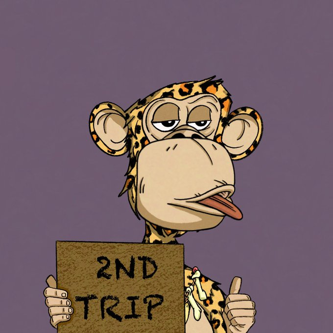 CryptoGarga's tweet photo. stoked for 2nd trip! 

hat tip to @boredfigs https://t.co/1co88bZGDI