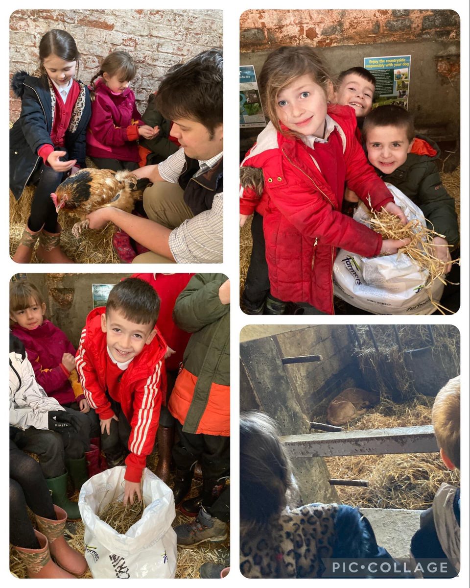 GrasslandsFarm's tweet image. We had Class 2 from @heworthprimary to see us today. The class asked some great questions about the crops we grow and animals we rear 🐥 🐮 🌾.