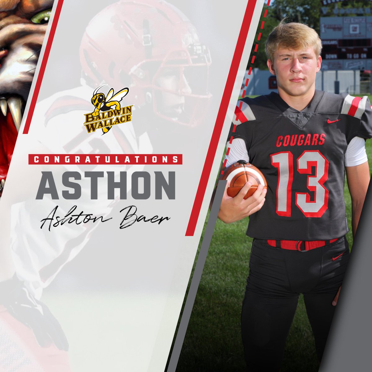 VWCougarAD tweet media