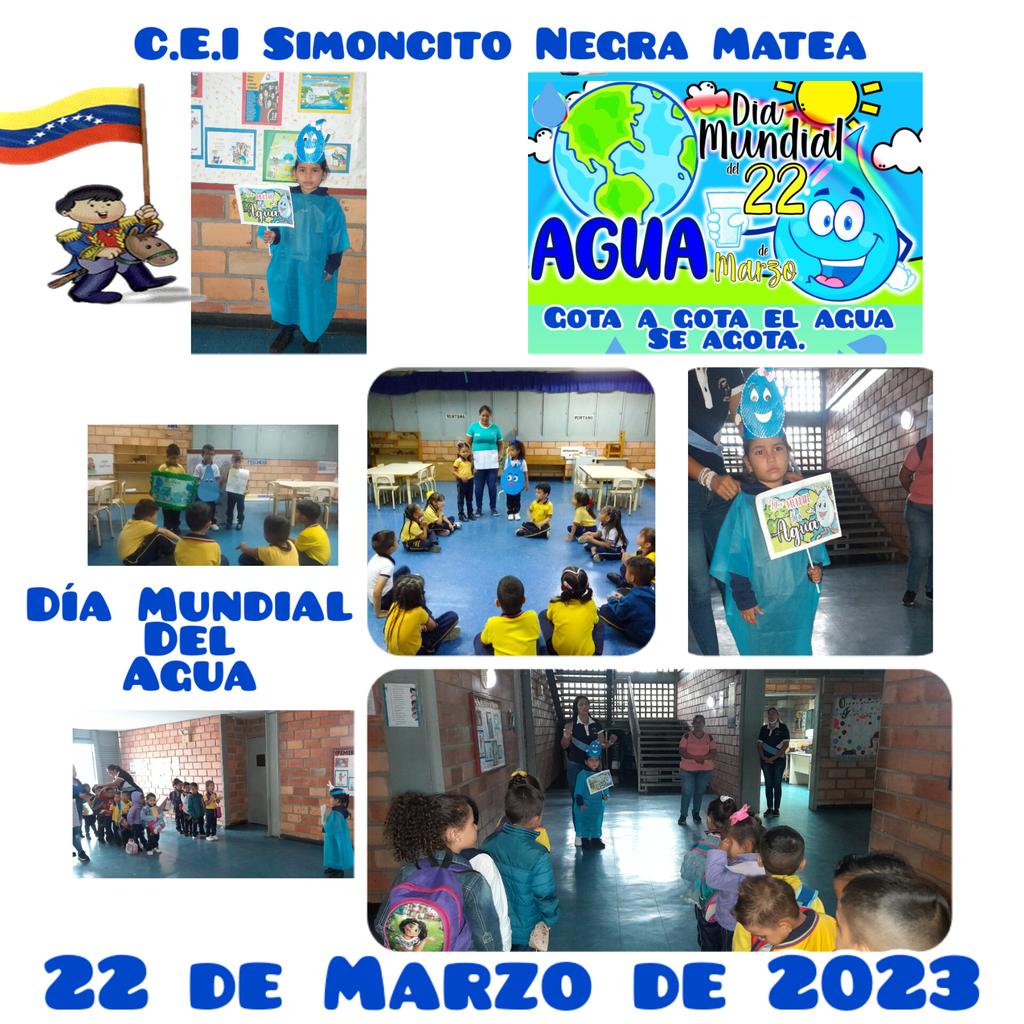 simoncito negra matea tweet media