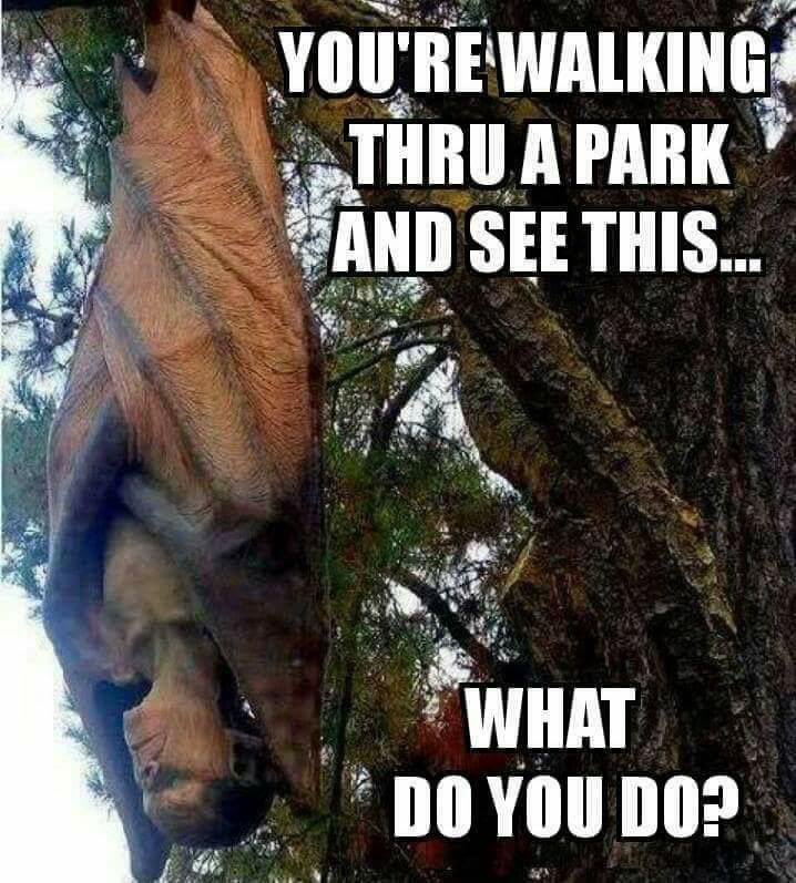 juda1313's tweet photo. Mind my business and slowly walk away. https://t.co/f4xPdRPWDW
