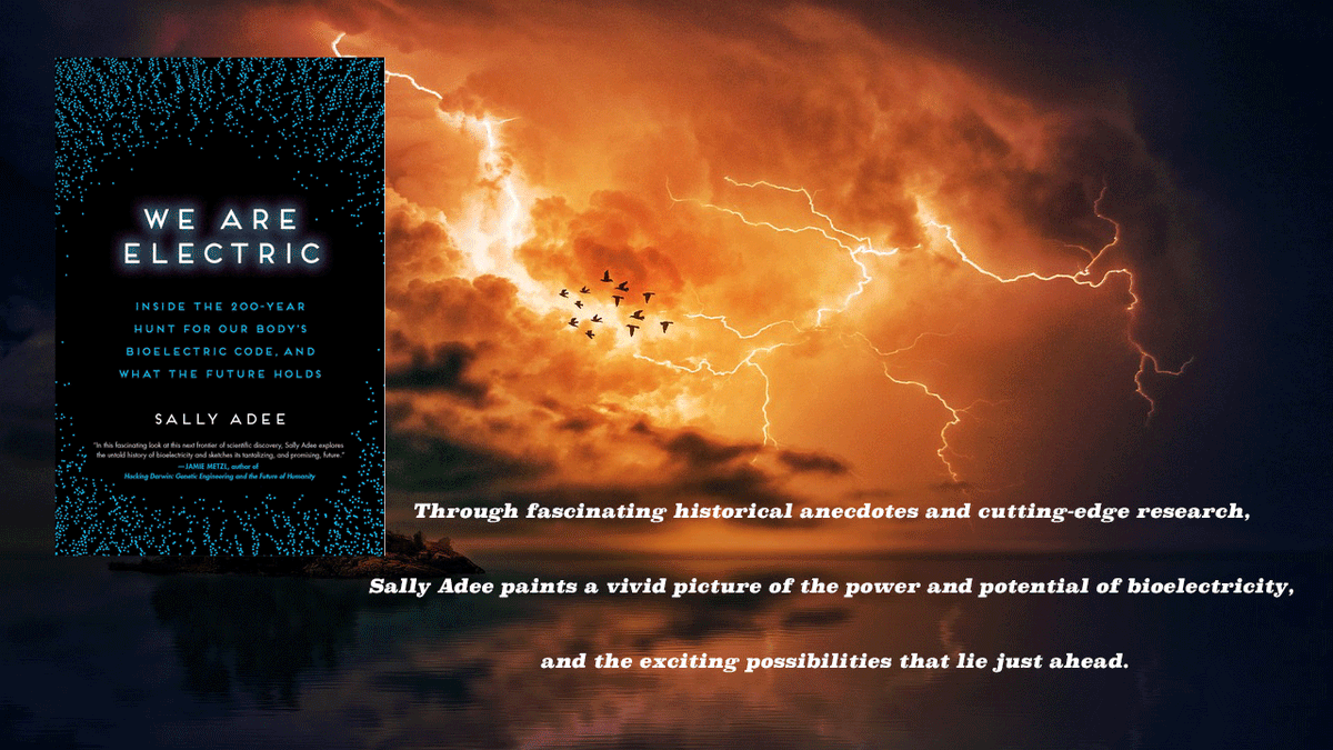What I am reading now.  WE ARE ELECTRIC by Sally Adee.  Are we on the cusp of a bioelectric revolution?  Well-written, engaging, thought-provoking.  amzn.to/3K0miz2
#bioelectricalfield #electricity #CancerResearch #healingjourney