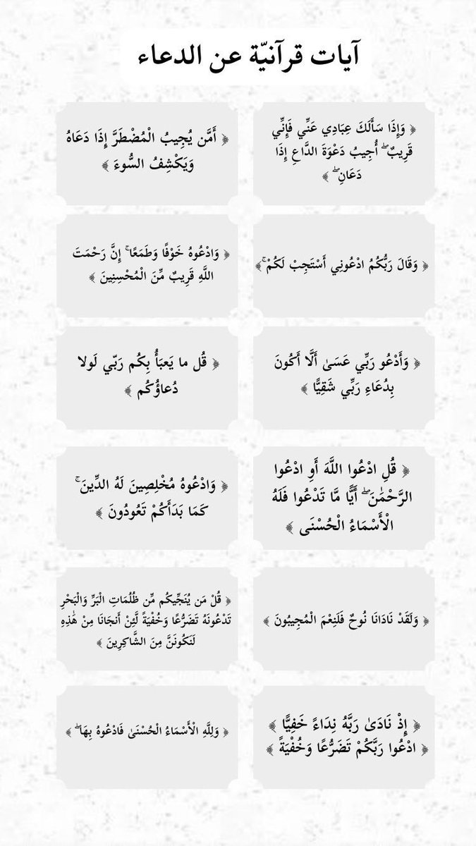سُهَاد. tweet media