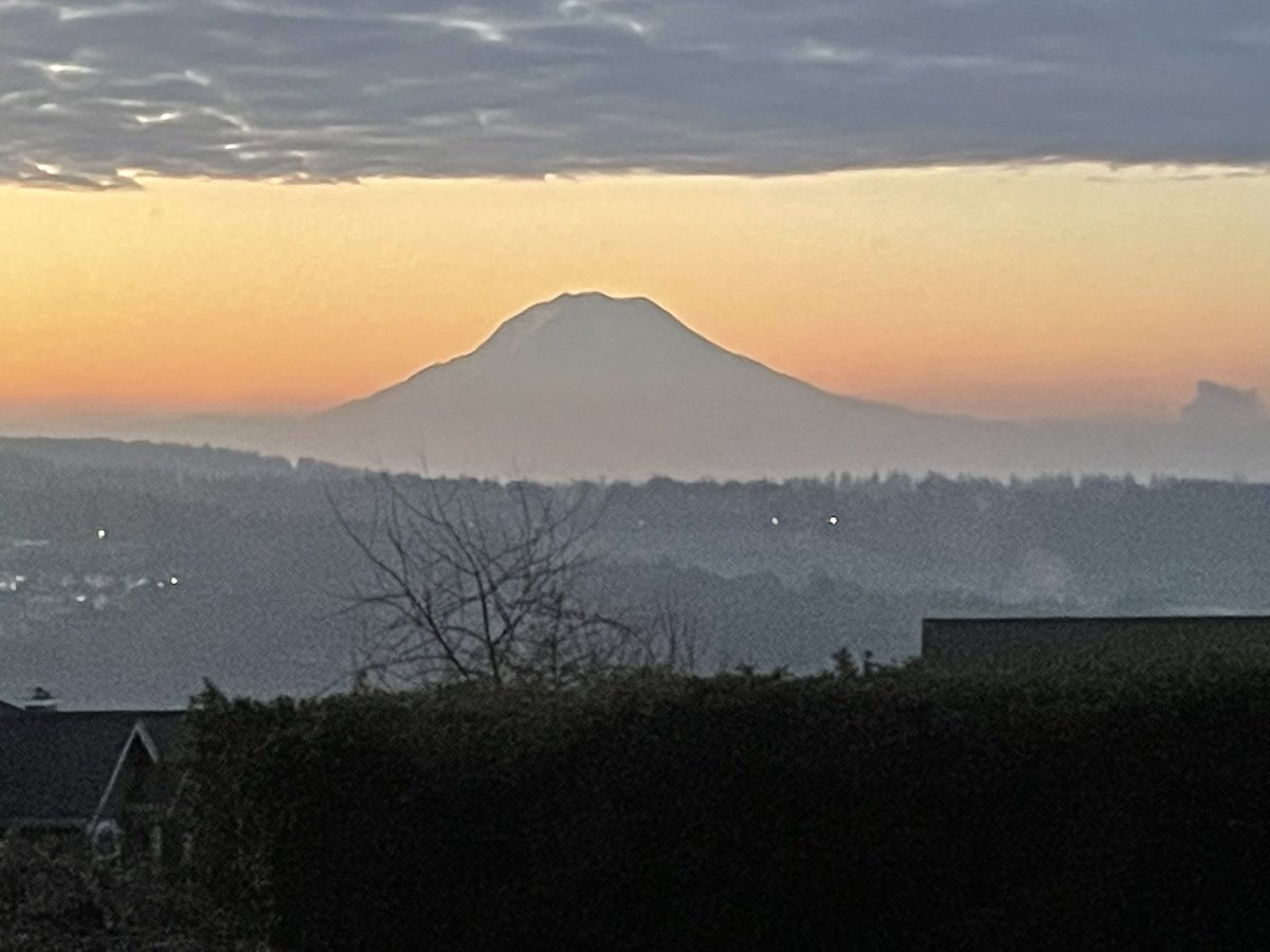 WritersConnect3's tweet image. Writing a book takes me around 4 years. Book writing time is way slower than football time. How long does it take you?#WritingCommmunity #slowwriting #writingabook #writersoftwitter #writersofinstagram #Writer #writing #writerslife