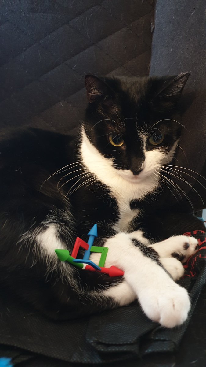 Jo ⚧️✊ tweet media