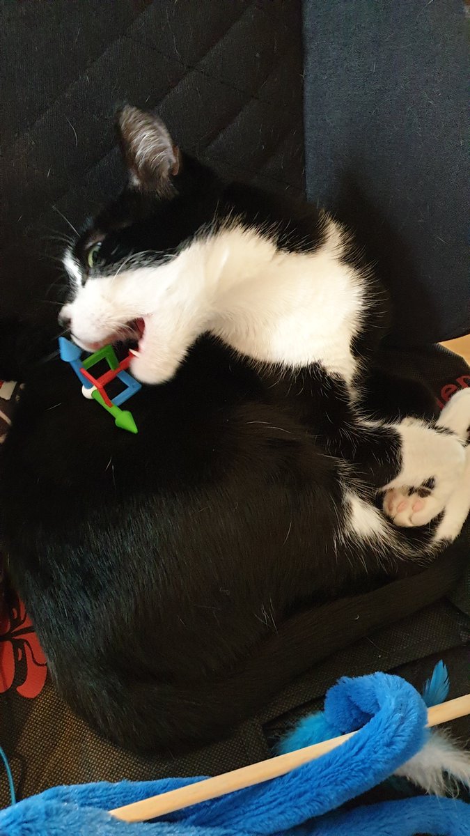 Jo ⚧️✊ tweet media