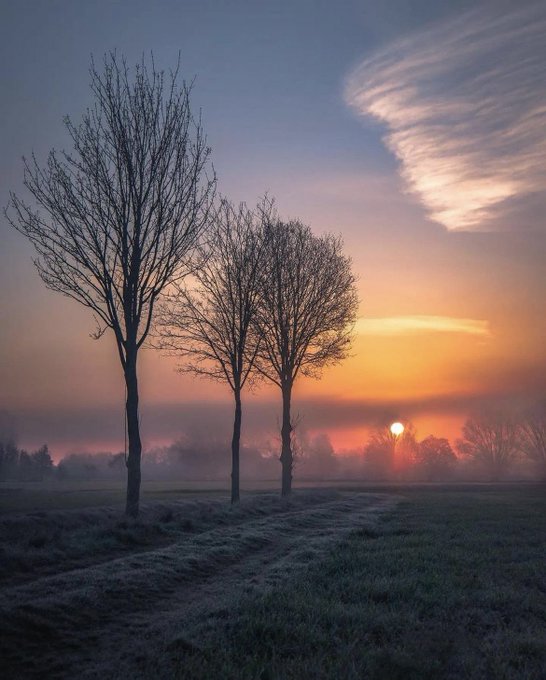 KiraBrookk's tweet photo. Winter mornings in Germany 🇩🇪 https://t.co/Ly5Sn5shk4
