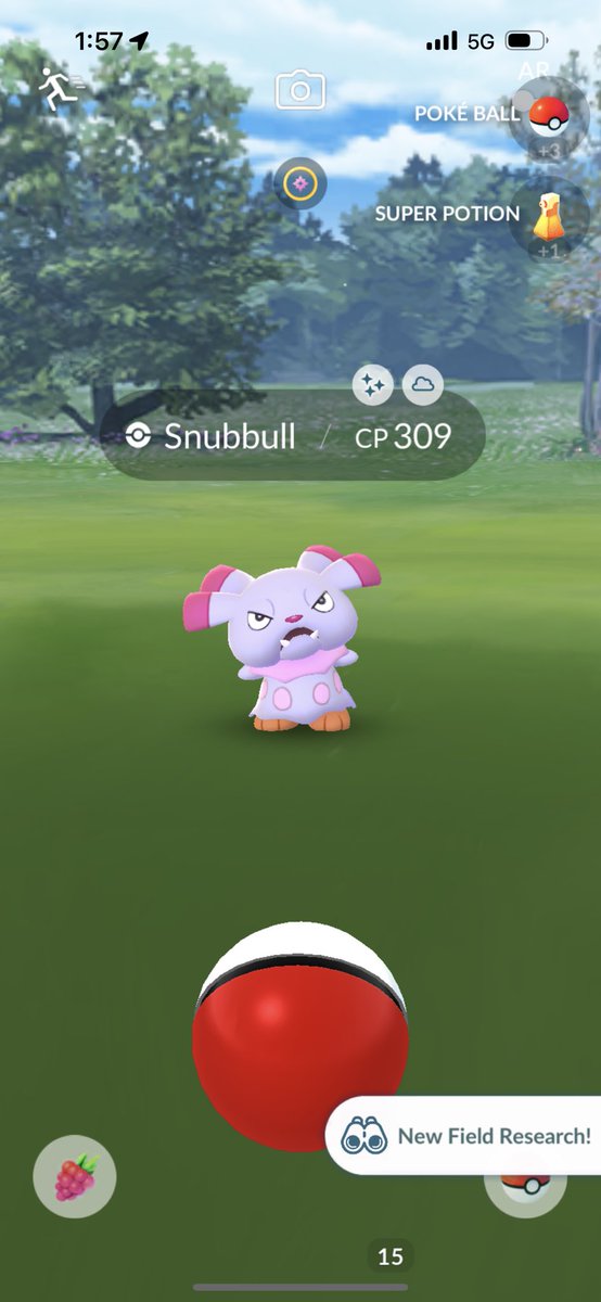 pokemonkush's tweet photo. shiny snubbull okok
#ShinyPokemon #PokemonGO #eventshiny https://t.co/vg1g1LCnyj