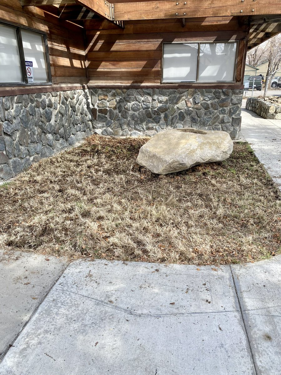 Inyo National Forest tweet media