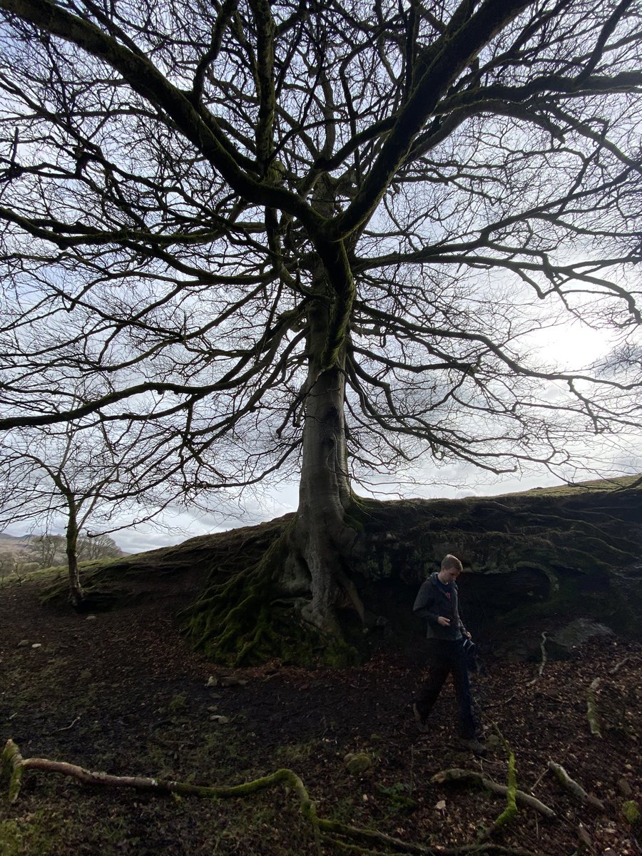 ccannoncaptures's tweet photo. Shoot location scouting📸#DevilsPulpit #EdNapPhoto https://t.co/jnV2z7K9Kv
