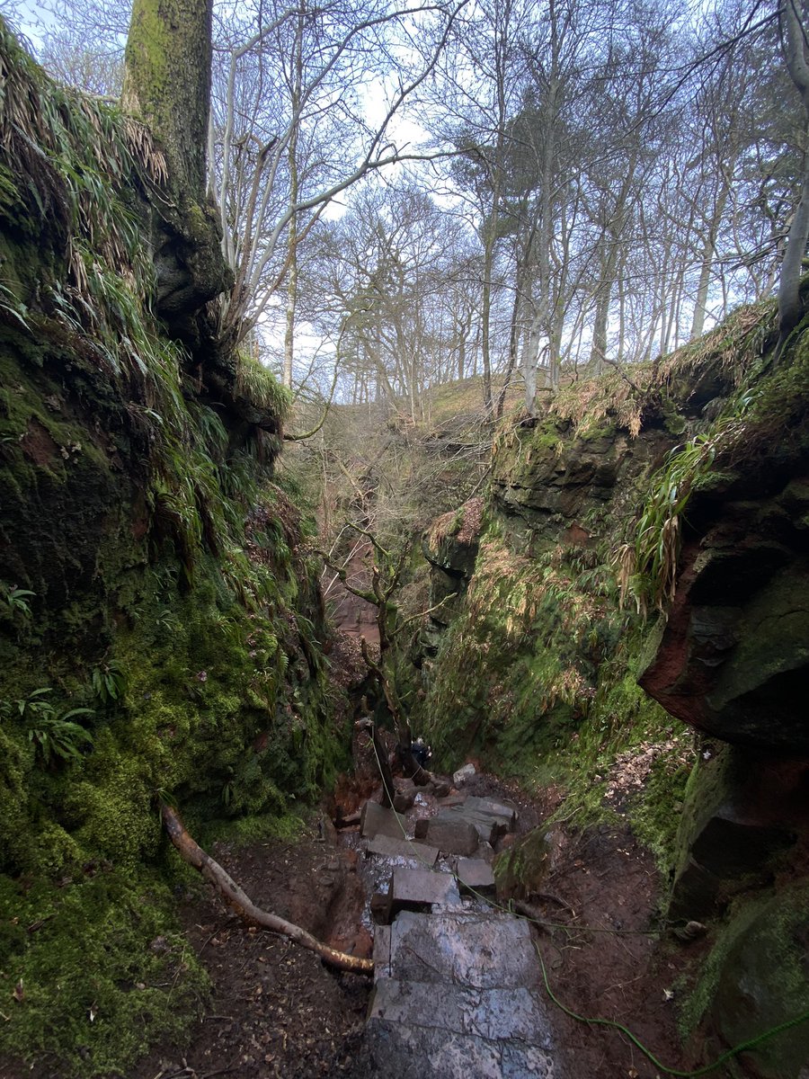 ccannoncaptures's tweet photo. Shoot location scouting📸#DevilsPulpit #EdNapPhoto https://t.co/jnV2z7K9Kv