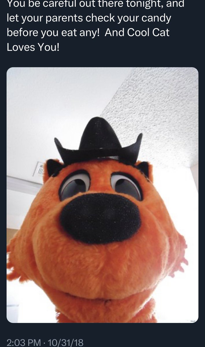 BadCoolCat's tweet photo. https://t.co/rKFJwzgLqD