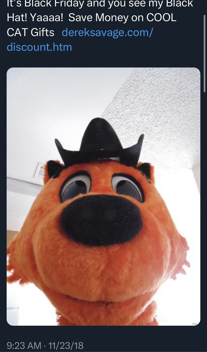BadCoolCat's tweet photo. https://t.co/rKFJwzgLqD