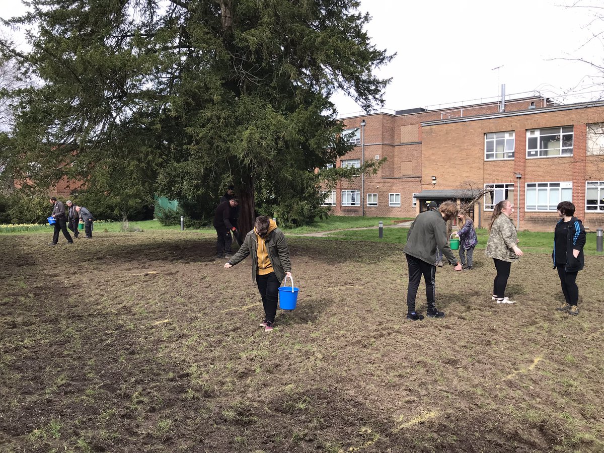 DuncanWestbury's tweet photo. Job done! New perennial meadow sown today with the help of students and the estates team! It will be cut short (approx 7cm) all this year to aid establishment. @worcester_uni @WorcsWT #EnvManSus https://t.co/FKmdlUHhRI