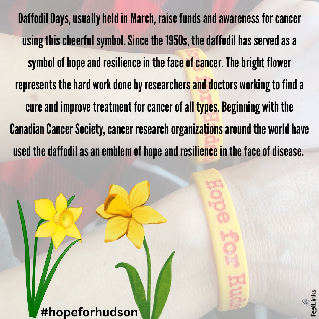 Dedicated to a very special 12 year-old #cancerwarrior #hopeforhudson

#daffodildays #cancer #fcancer #neuroblastoma #ChildhoodCancer #PediatricCancer #daffodilday @AmericanCancer