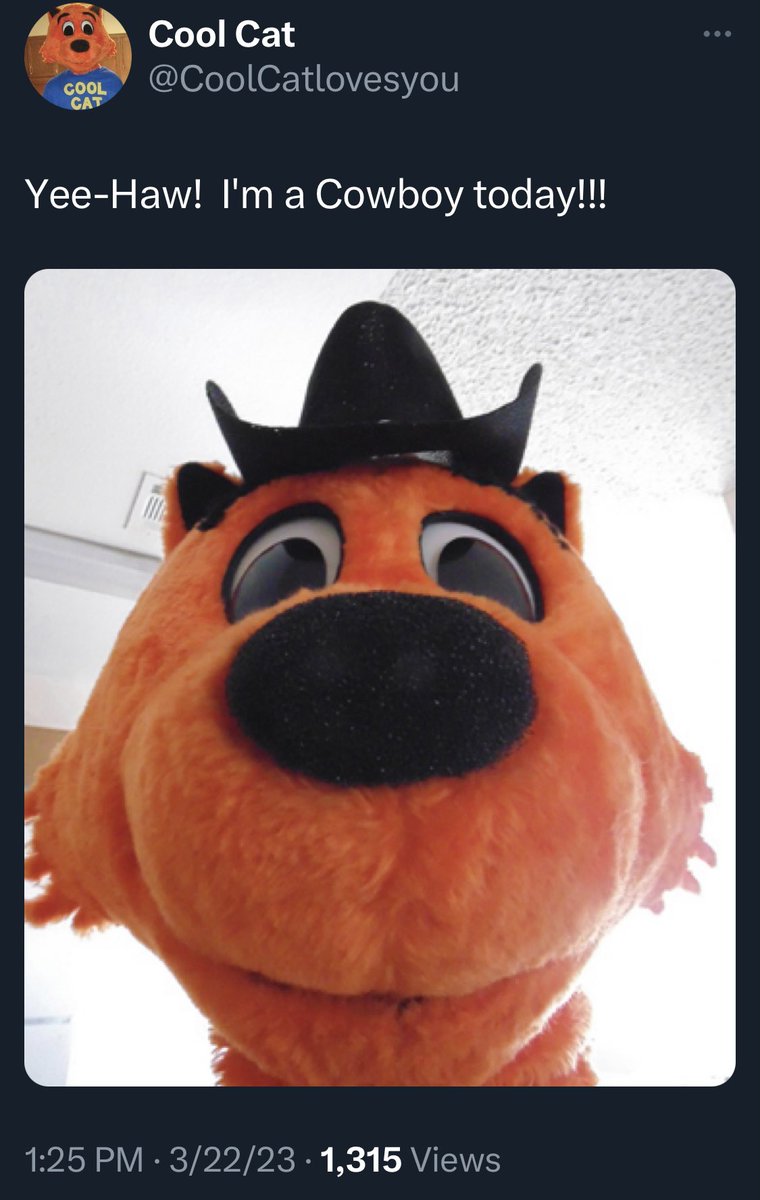 BadCoolCat's tweet photo. Daddy Derek recycles more than film! He even does tweets. Here he has used the same photo over 6 times! What? No way to take a new selfie? #BadCoolCat https://t.co/HSXSSBHpN5