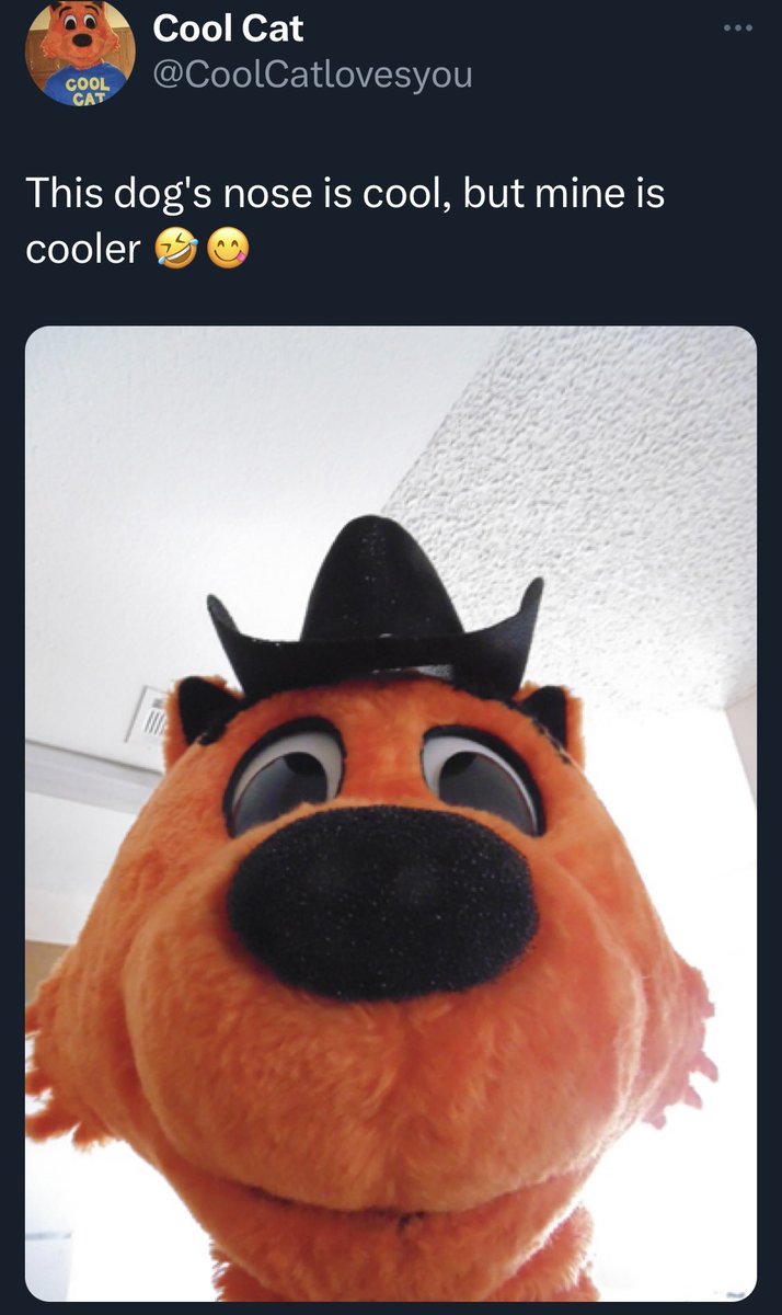BadCoolCat's tweet photo. https://t.co/17RW0XLOvw