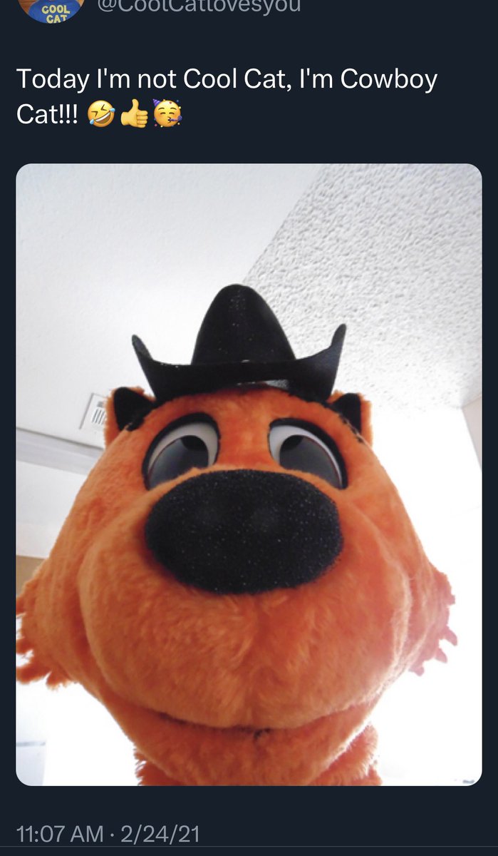 BadCoolCat's tweet photo. https://t.co/17RW0XLOvw
