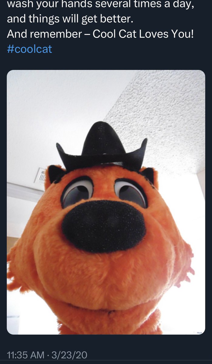BadCoolCat's tweet photo. https://t.co/17RW0XLOvw
