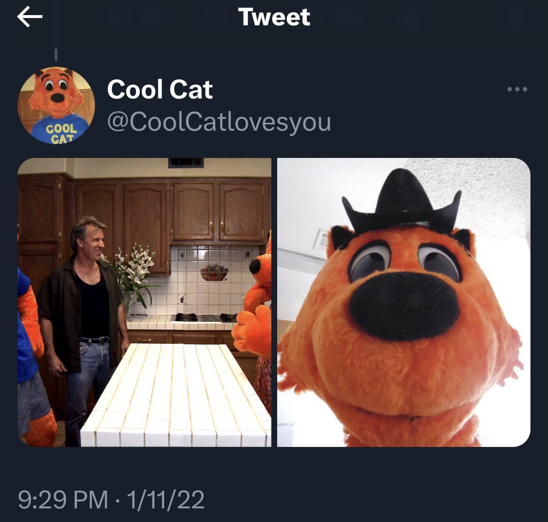 BadCoolCat's tweet photo. https://t.co/17RW0XLOvw