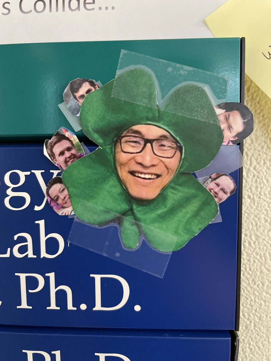 Allison Cummins Carr (She/Her) tweet media