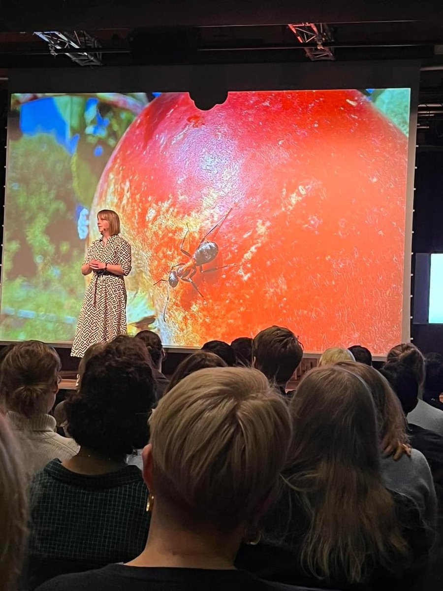 AarhusUni's tweet image. Ida Cecilie Jensen fra Eco-Science vandt her til aften den lokale udgave af @3MT_official i Stakladen. Publikumsprisen gik til Milica Milic fra Bio- og Kemiteknologi #phd Tillykke til begge vindere. 👏🎉