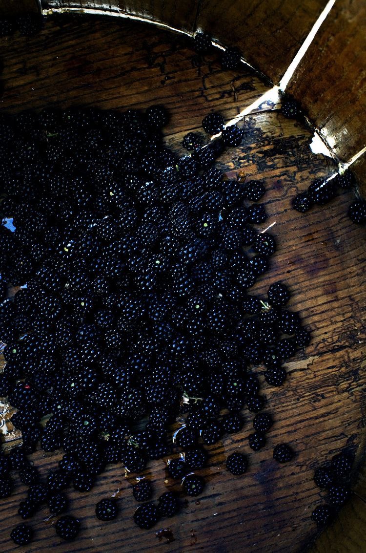 bjdmuse's tweet image. i just want figs and blackberries season *sob*