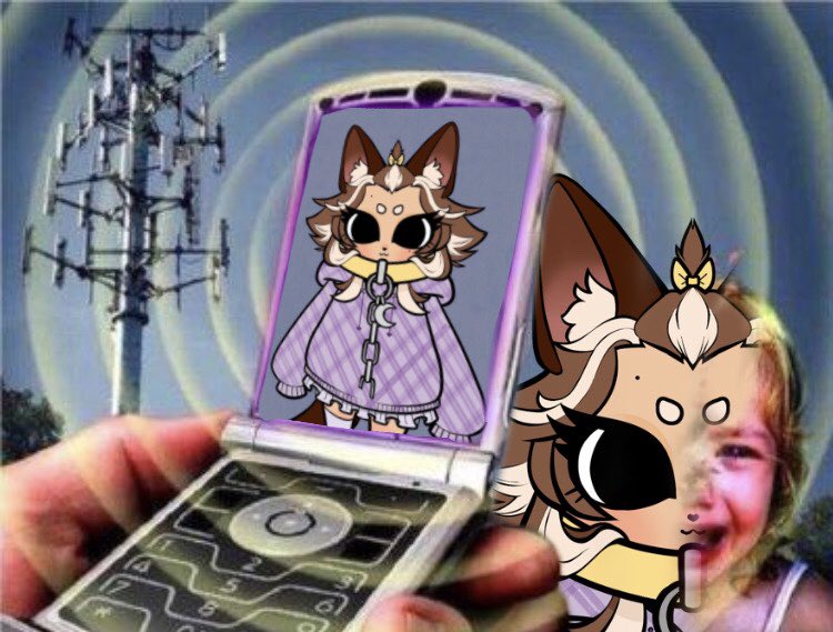 Peque 🐾 Werewawa Vtuber!! (pre debut!) tweet media