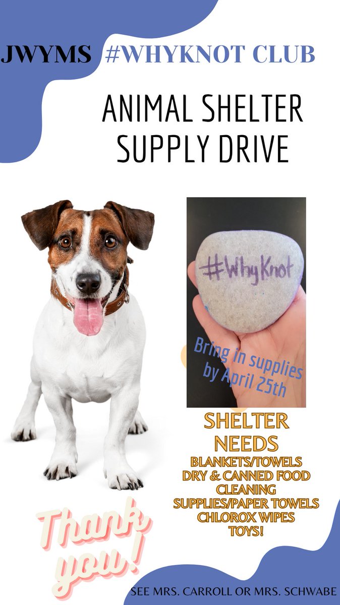 JwyWhyknot's tweet photo. Shelter drive is on!
#dogoodforothers #whyknot #payitforward #spreadkindness #positivity #studentvoice #wellnesswednesday https://t.co/4C6euvu72X