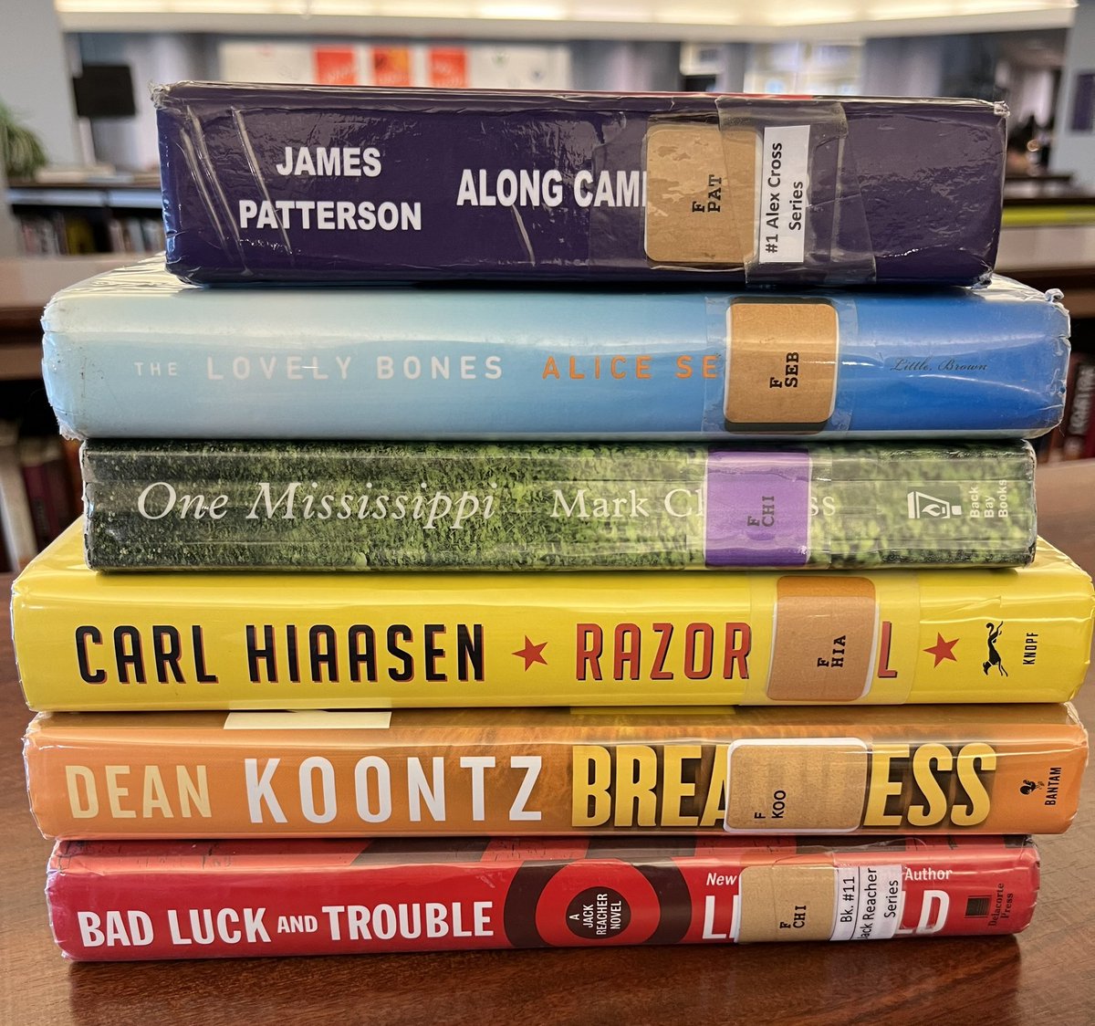 Tired of the gray, cloudy, foggy weather outside? Come visit the rainbow <a href="/bvnwlibrary/">Librarian</a> and take a piece of it home with you!