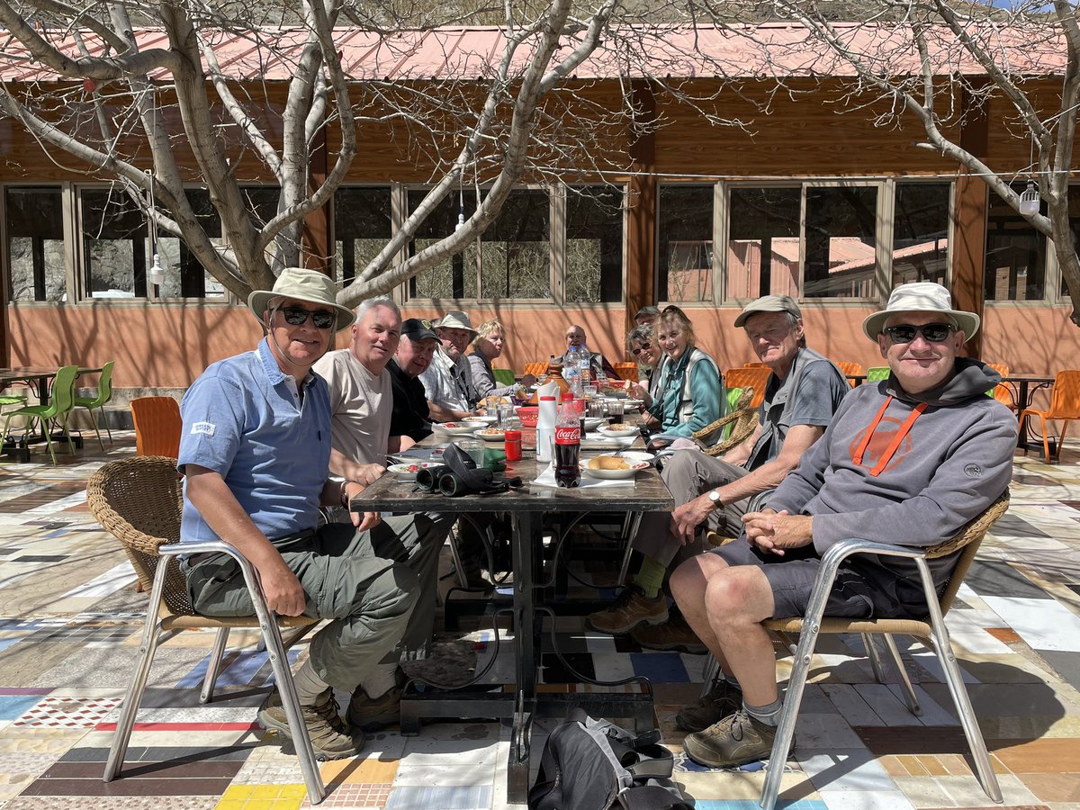 Back in #Marrakesh at the end of our #Morocco tour 1.  Thanks to all the group for making it such a great trip with some fab birds.   
Tour 2 starts here tomorrow.