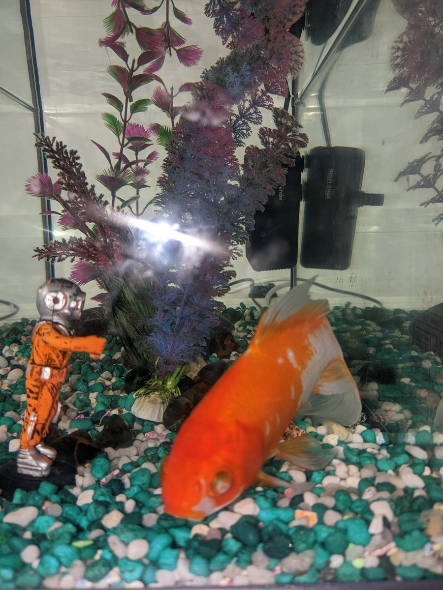 Lauren Duffy she/her π³οΈβπ (@scotinmanc) on Twitter photo This is Goldie. He is a great listener and helps lots of our little people be present and calm. If you pop by <a href="/OTCAcademy/">OTCAcademy</a> be sure to say hi to him, he really is a great asset to our team! <a href="/FocusTrust1/">Focus Trust</a> #caredarefairshare #mindfullness #calm #relax This is Goldie. He is a great listener and helps lots of our little people be present and calm. If you pop by <a href="/OTCAcademy/">OTCAcademy</a> be sure to say hi to him, he really is a great asset to our team! <a href="/FocusTrust1/">Focus Trust</a> #caredarefairshare #mindfullness #calm #relax