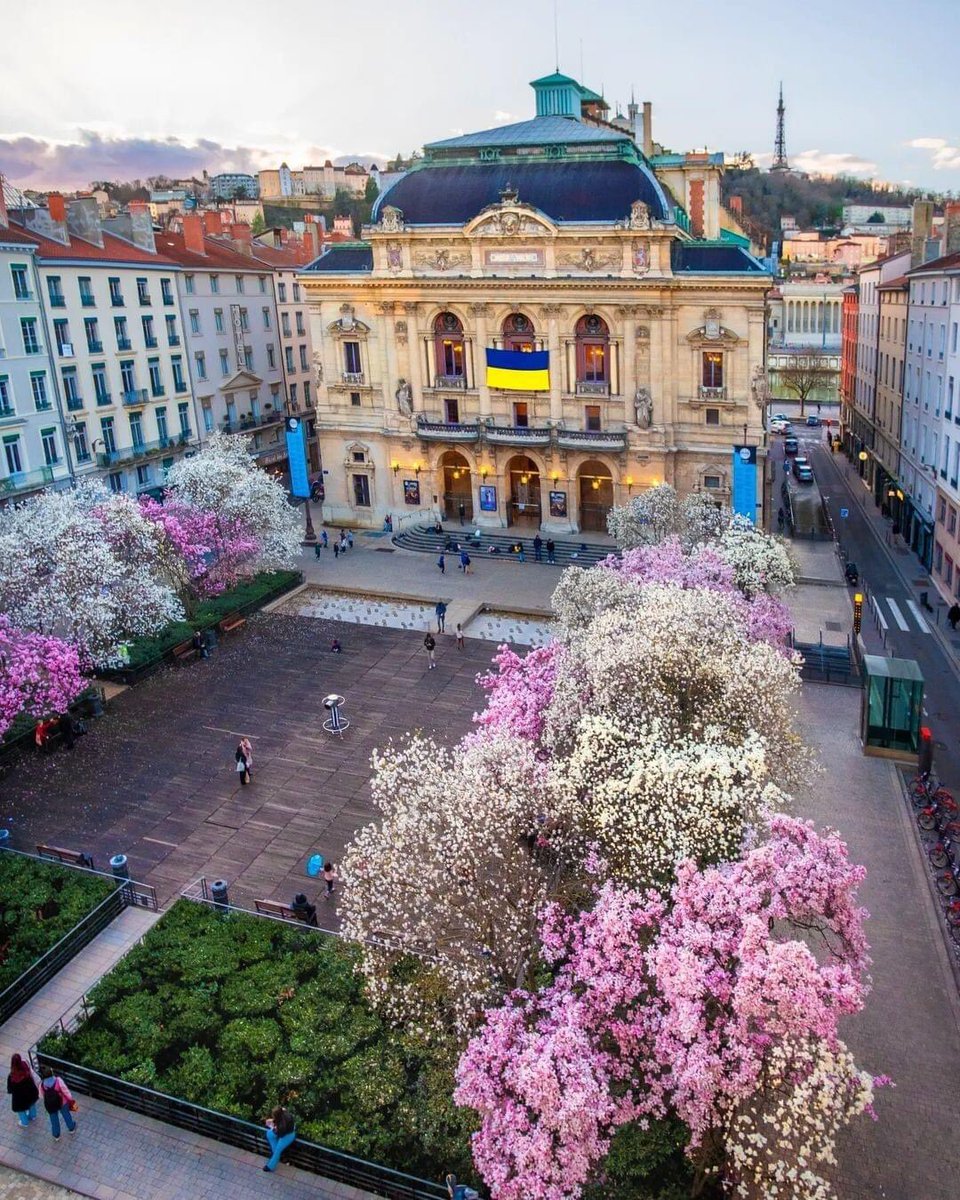 SoukainaBgg's tweet photo. Lyon en printemps ! 🌸🙏🏻💖🍃👇📸🥰 #Lyon #Lyonnaise #FièreDêtreLyonnaise #LyonMaVille #OnlyLyon #Printemps #Printemps2023 #Fleurs #CouleurRose #PinkColor #PlaceDesCélestins #ThéâtredesCélestins #Théâtre #photographie #photography #NaturePhotography #beautiful @OnlyLyon https://t.co/p4HrtOmbEh