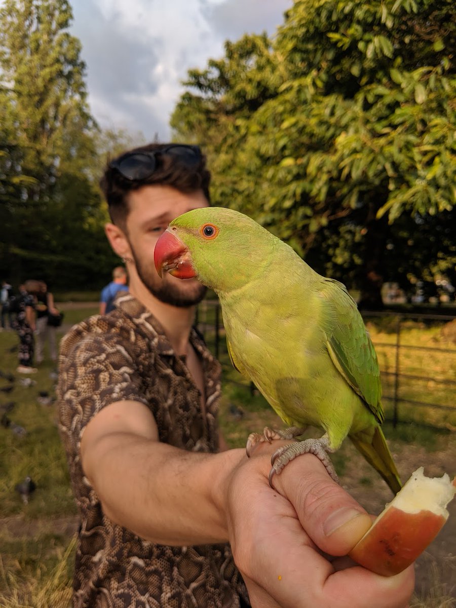 Adam Eyadam tweet media