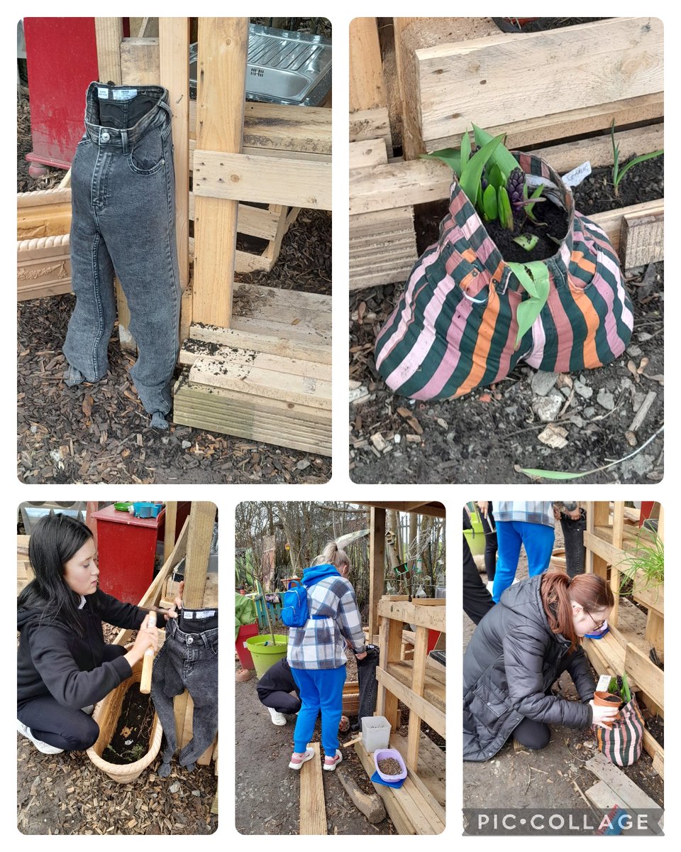 Suzieq1402's tweet photo. Great day at @FARE_Scotland Lochend Community Allotment with @ClaireWilson_fare &amp;Community Achievement group frm @LochendWiderA #Cleanupscotlsnd @KSBScotland Then back planting in funky denims . @RHSSchools @Jimmy_FARE @Kevin_DYWLCHS @LochendHigh https://t.co/hee9dfFUdw