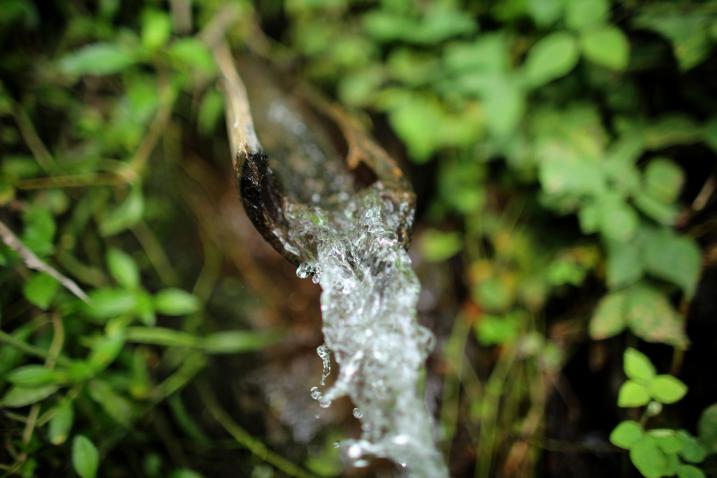 Today is World Water Day, how will you help?