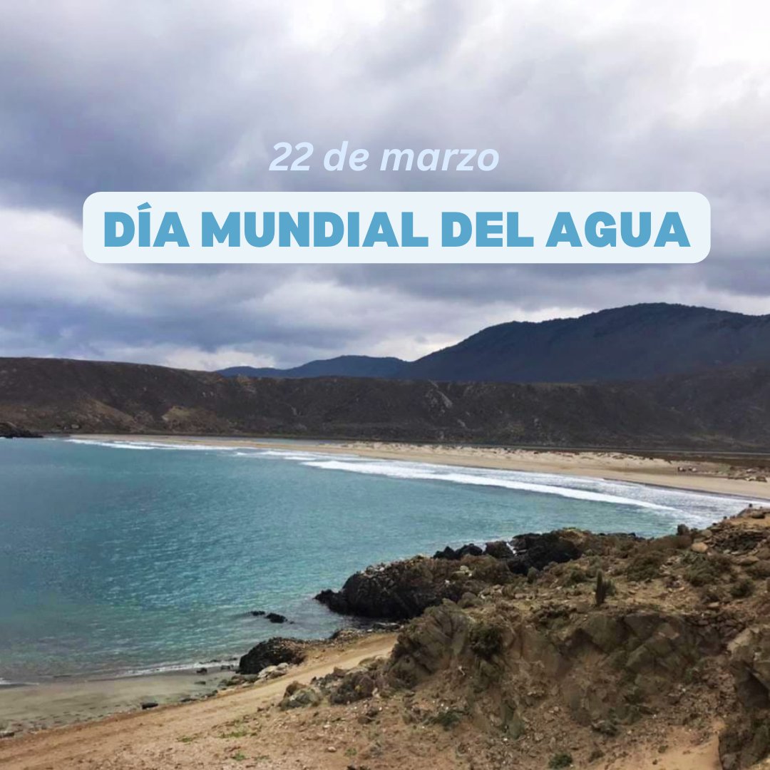 ➡️Hoy se celebra el #DiaMundialDelAgua 💧, instancia que busca crear conciencia sobre la importancia de cuidar los recursos hídricos del planeta🌎.
Desde el museo celebramos este día con una hermosa fotografía de la desembocadura del Río Limarí. 
#museos #Limari #siemprecultura