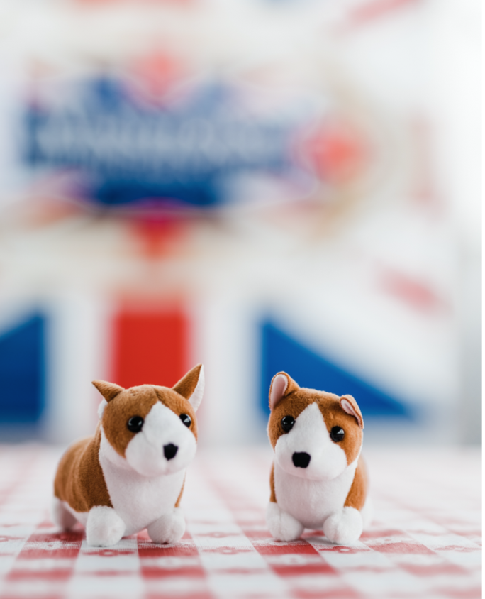 ArbDogeAII's tweet photo. If you are coming for our FishNChips and bringing the children, don't forget to ask for a free puppy to take home... Winston LOVES sharing! 
#corgisrule #fishnchips #foodtruck #foodtrucklife  And follow us on Winstagram!  winstonsbritishfishnchips https://t.co/ZrieHcVAZd