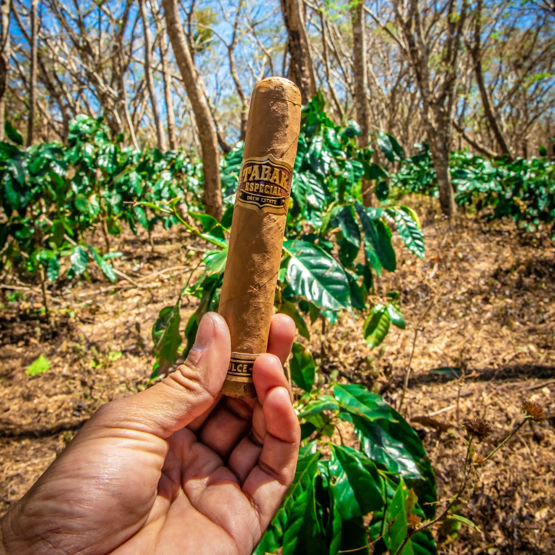 drewestatecigar's tweet photo. Brighten your day with Tabak Especial Dulce. #de4l #tabakmonth https://t.co/TUsQMOYItZ