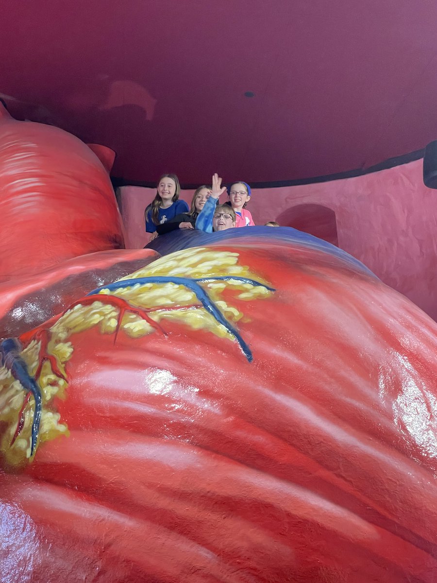 Manoa Elementary tweet media