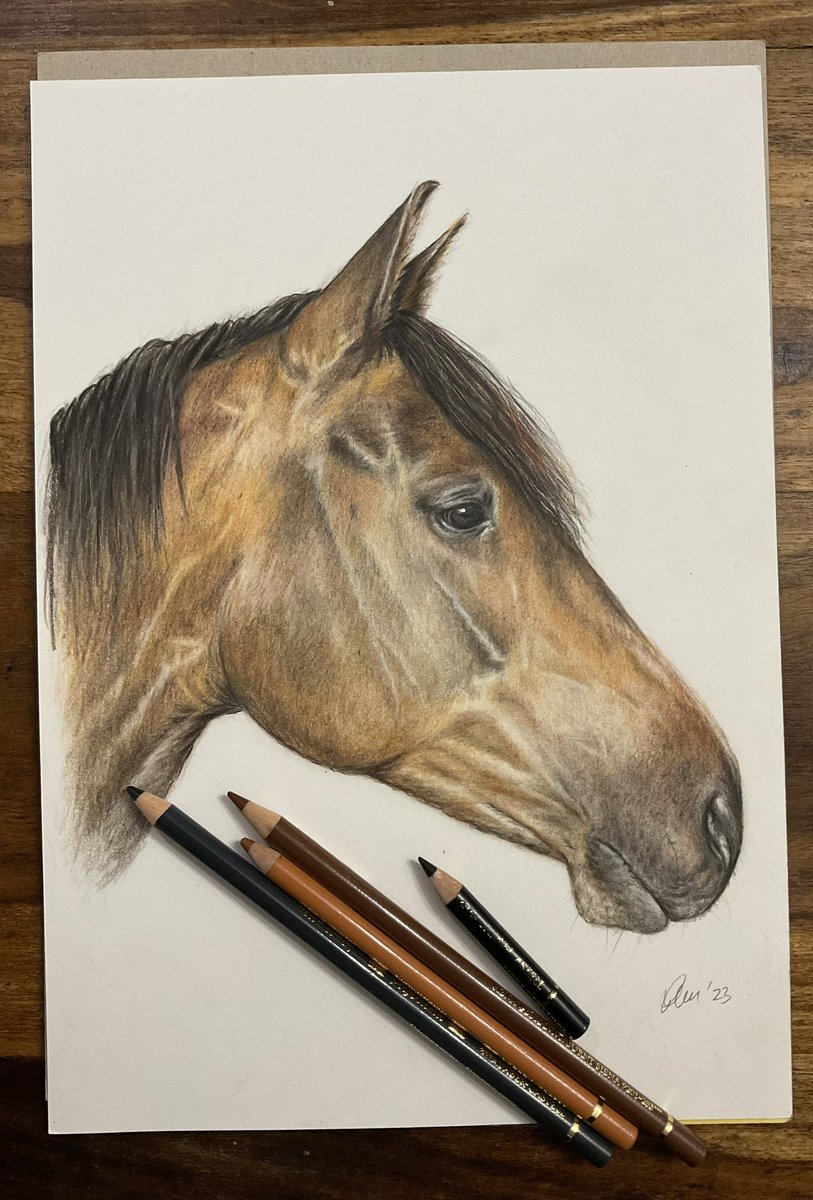 Forgot to post a finished pic of ‘Rosie’ #colouredpencildrawing #fabercastell #horseportrait #art #bayhorse