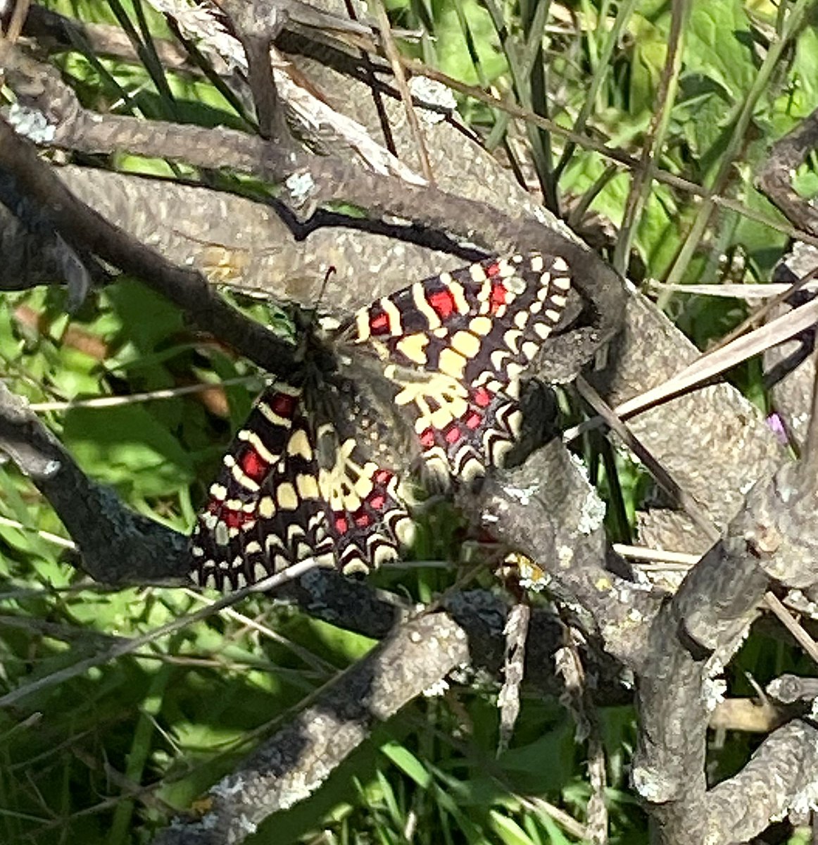 Stuart Marsden tweet media