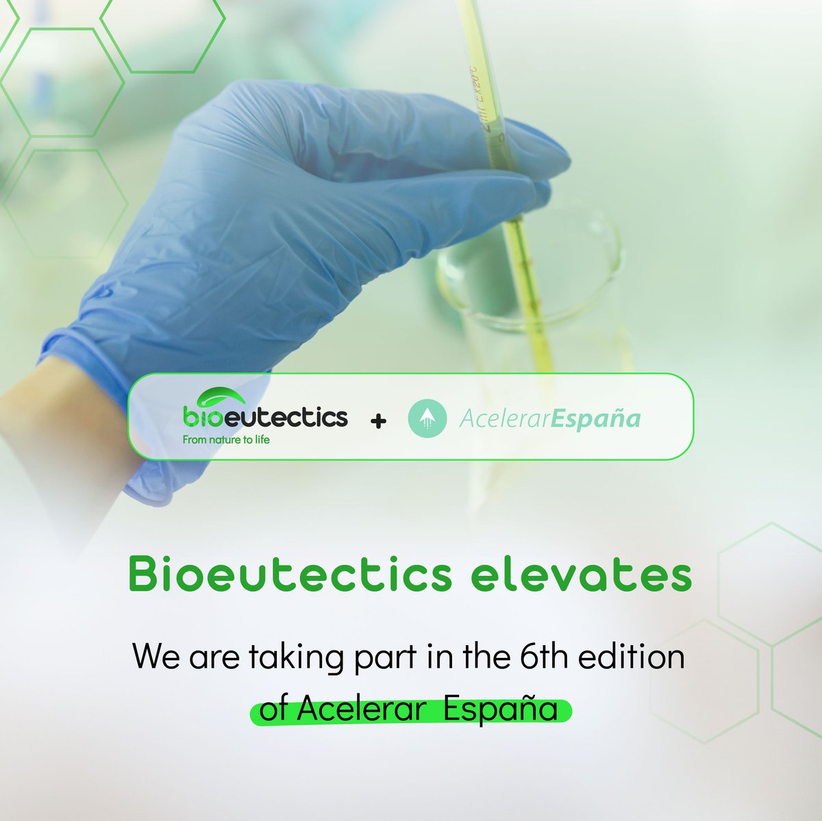 We're thrilled to announce that Bioeutectics has been selected as one of the 11 finalists of the 6th edition of the @AcelerarStartup call! 🧪

#AcelerarEspaña #FutureBuilding #Biotechnology #Biotecnología #Startup