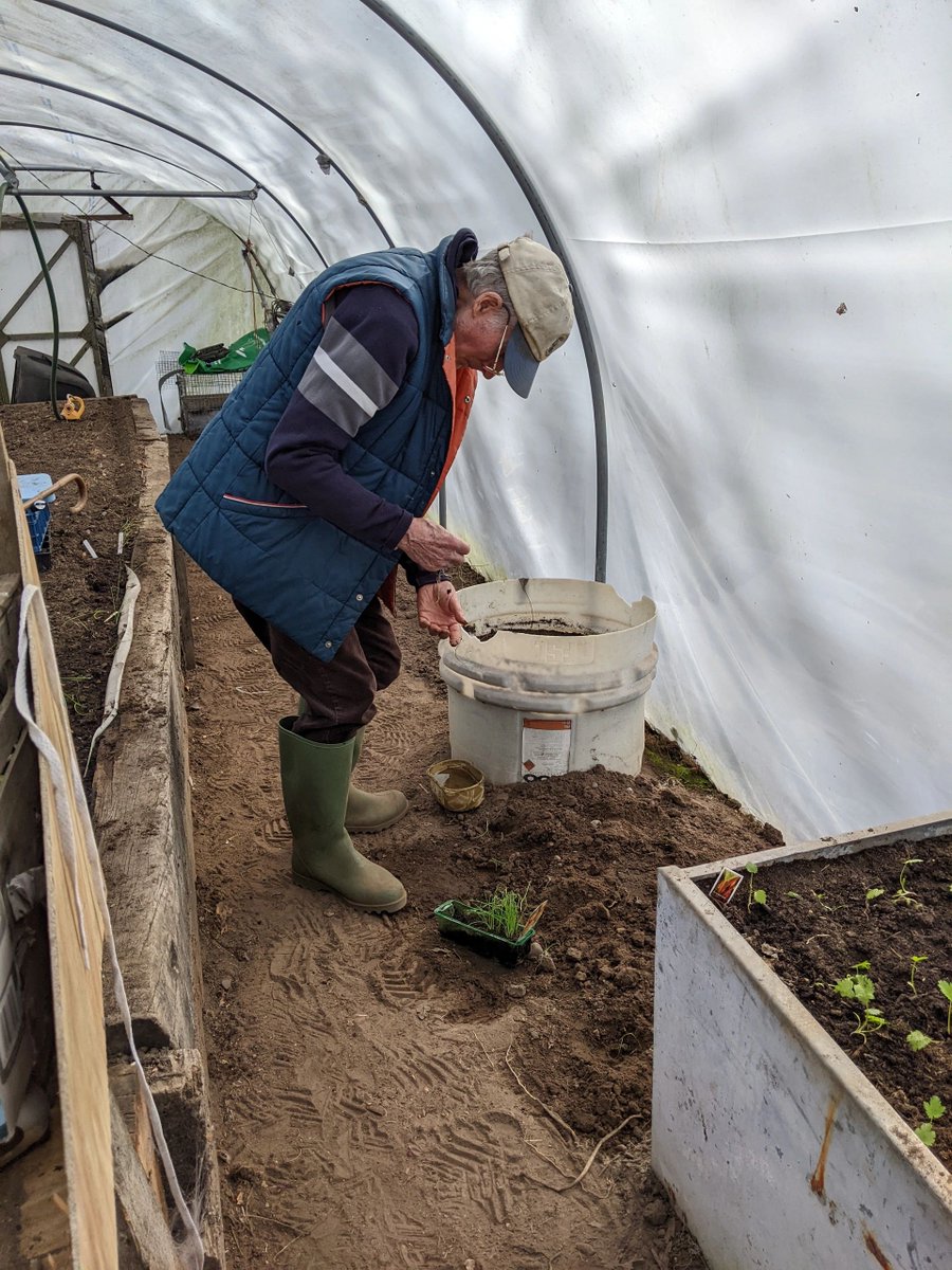 LifelineSBS's tweet photo. Things are progressing well in the polytunnel. Another productive afternoon with one of our families 🌱☀️
#gardening #nature #support #communitysupport https://t.co/lDQBkiHN4I