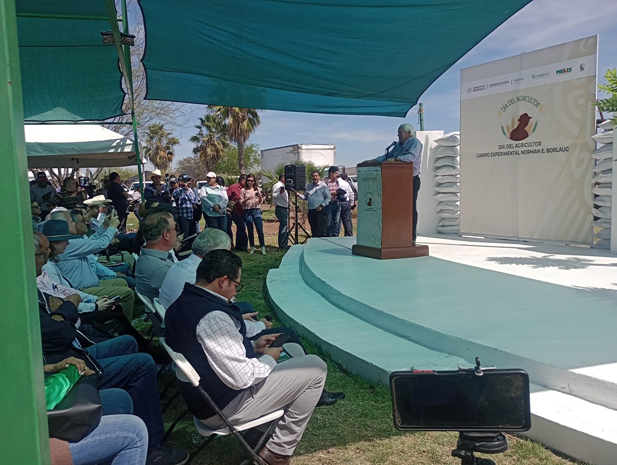 Hub_PACNorte's tweet photo. #CIMMYT #HubPac Ceremonia de Inauguración del Día DEL Agricultor 2023 CENEB. https://t.co/1AP9LpxeN9