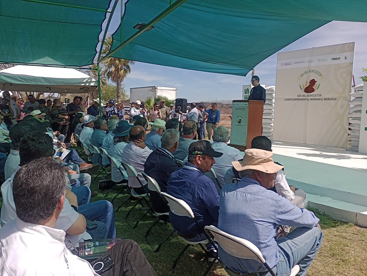 Hub_PACNorte's tweet photo. #CIMMYT #HubPac Ceremonia de Inauguración del Día DEL Agricultor 2023 CENEB. https://t.co/1AP9LpxeN9