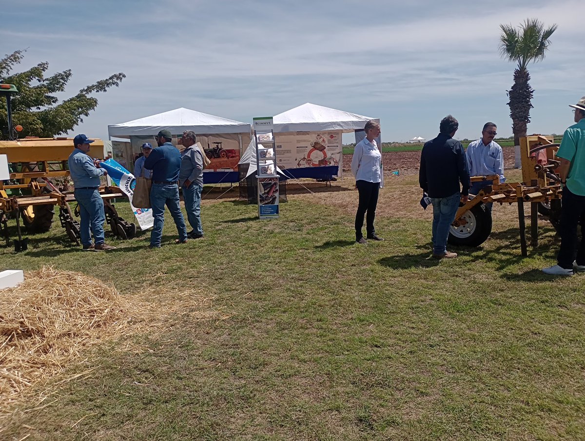 Hub_PACNorte's tweet photo. #CIMMYT #HubPac Ceremonia de Inauguración del Día DEL Agricultor 2023 CENEB. https://t.co/1AP9LpxeN9