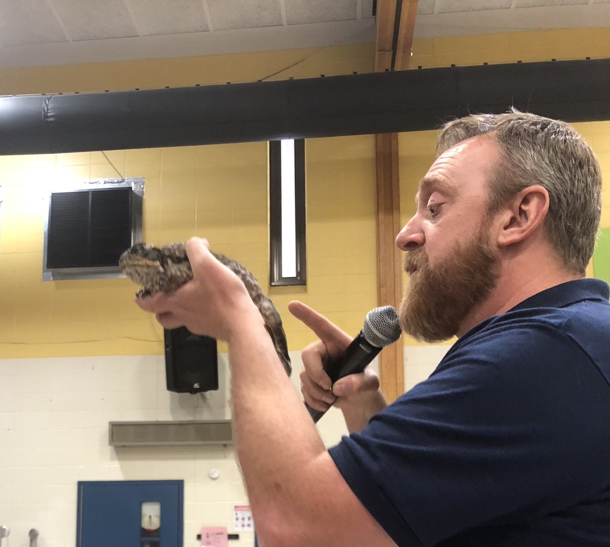 MrsPetronis's tweet photo. Eyes of the Wild assembly. #lisshines #wildlife #animalrescue https://t.co/udppsxIciA